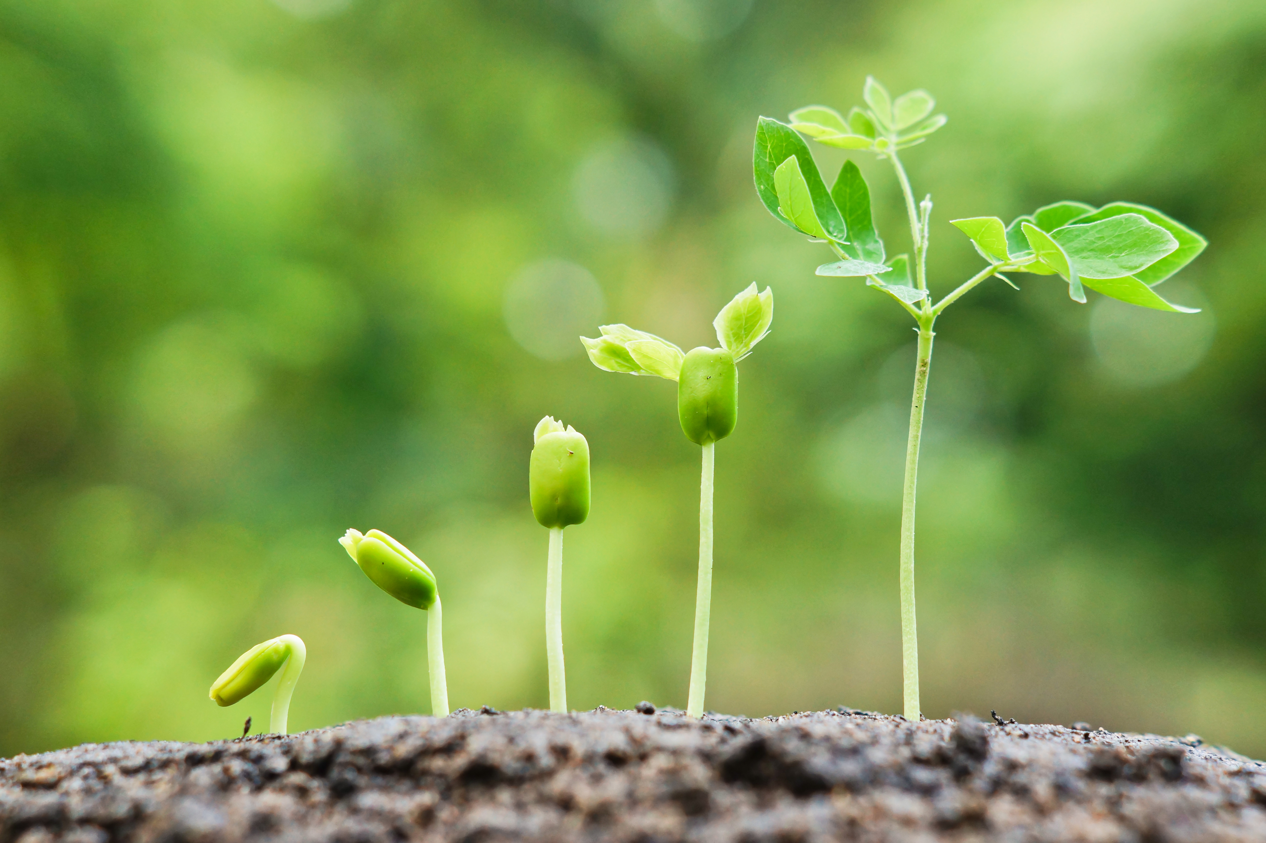 3PL Strategy: How to grow and nurture your customers