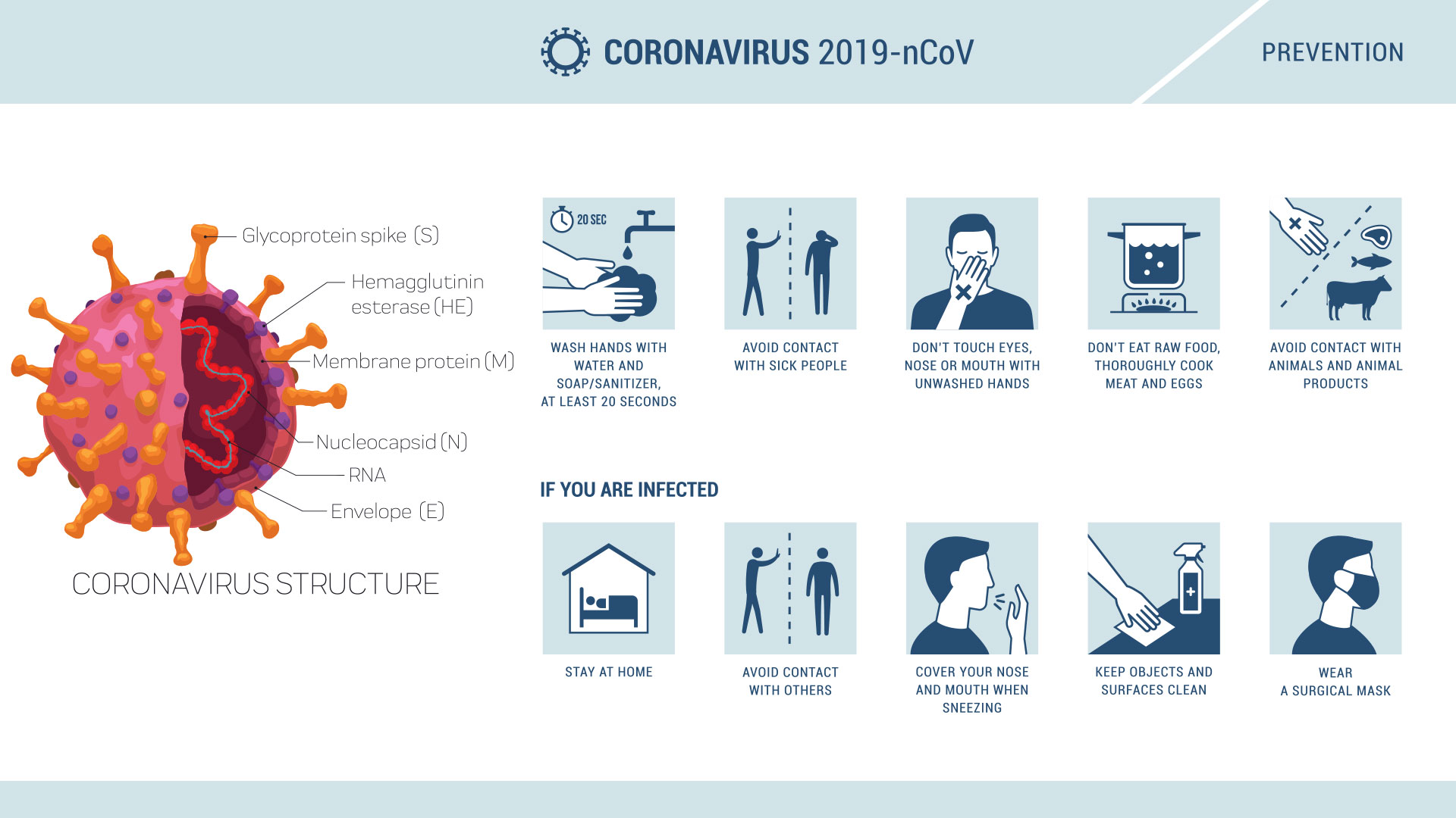 Coronavirus Covid-19 and Impact on Business and Supply Chains