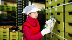 How to fix food safety issues in the food supply chain