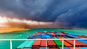 Supply Chain Resilience and Optionality