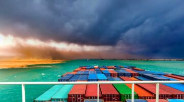 Supply Chain Resilience and Optionality